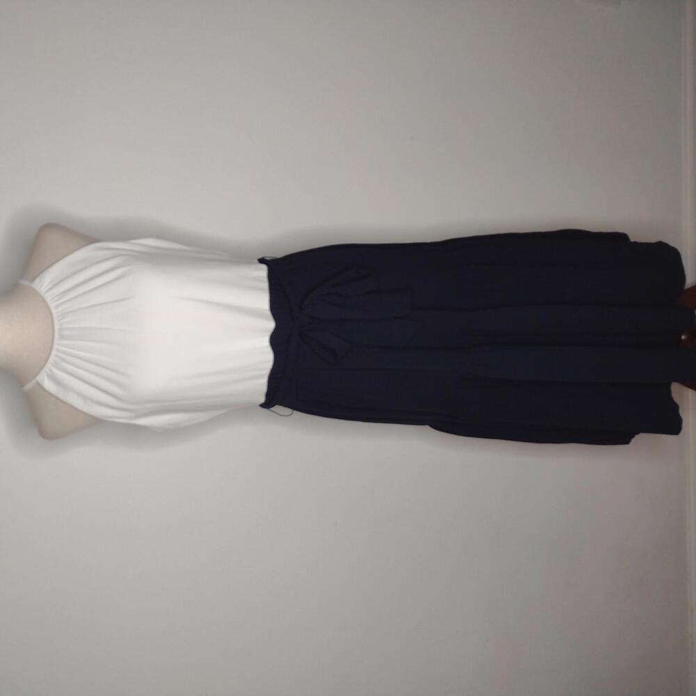 NWT DKNY Women's Ivory/Navy Dress Size 4